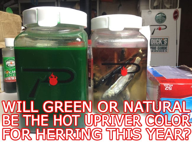 view larger image green_natural herring blog