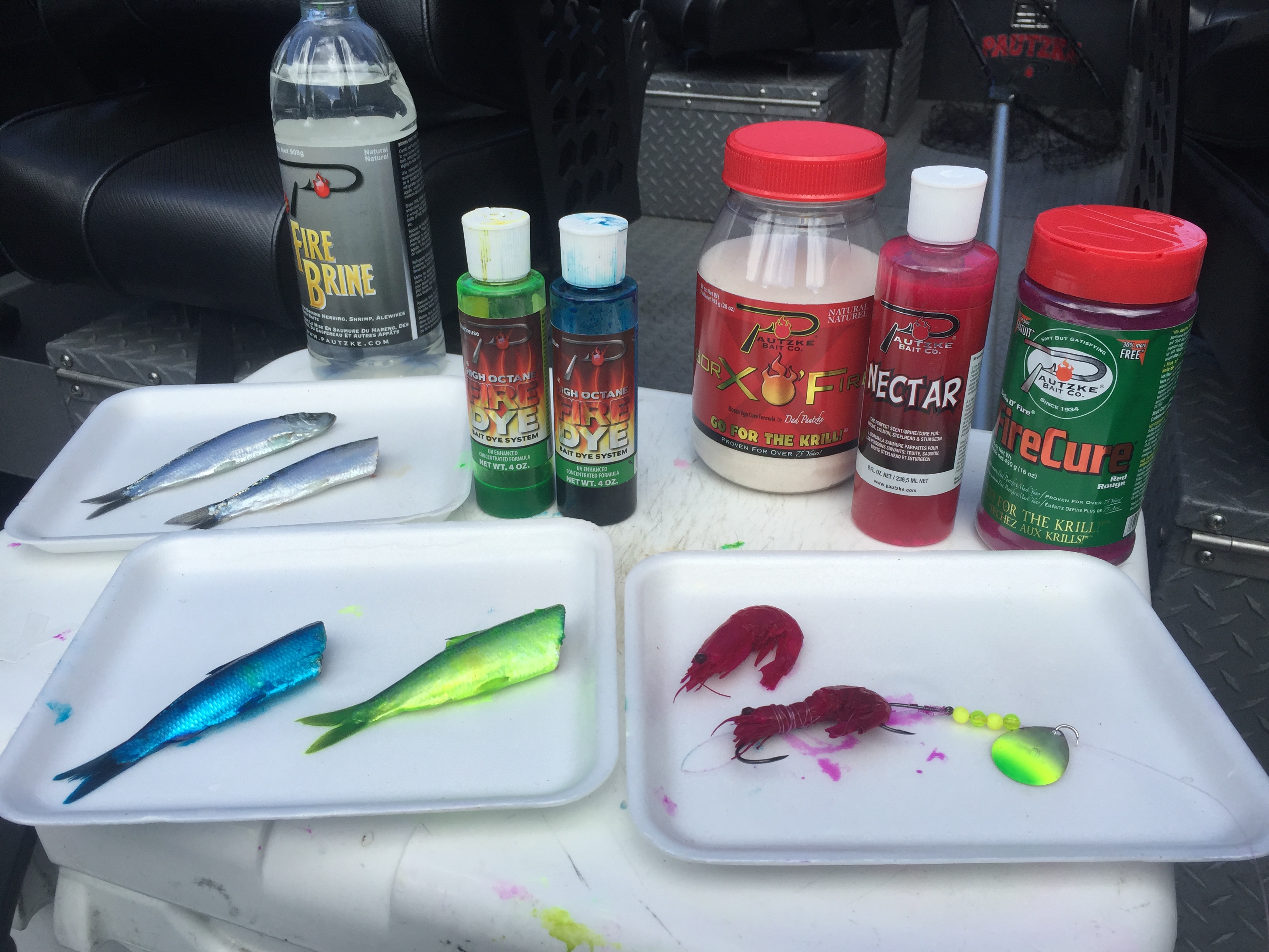 Catching Spring Salmon with Hot and Sweet Bait | Oregon City Falls Harbor | Willamette Valley Outfitters