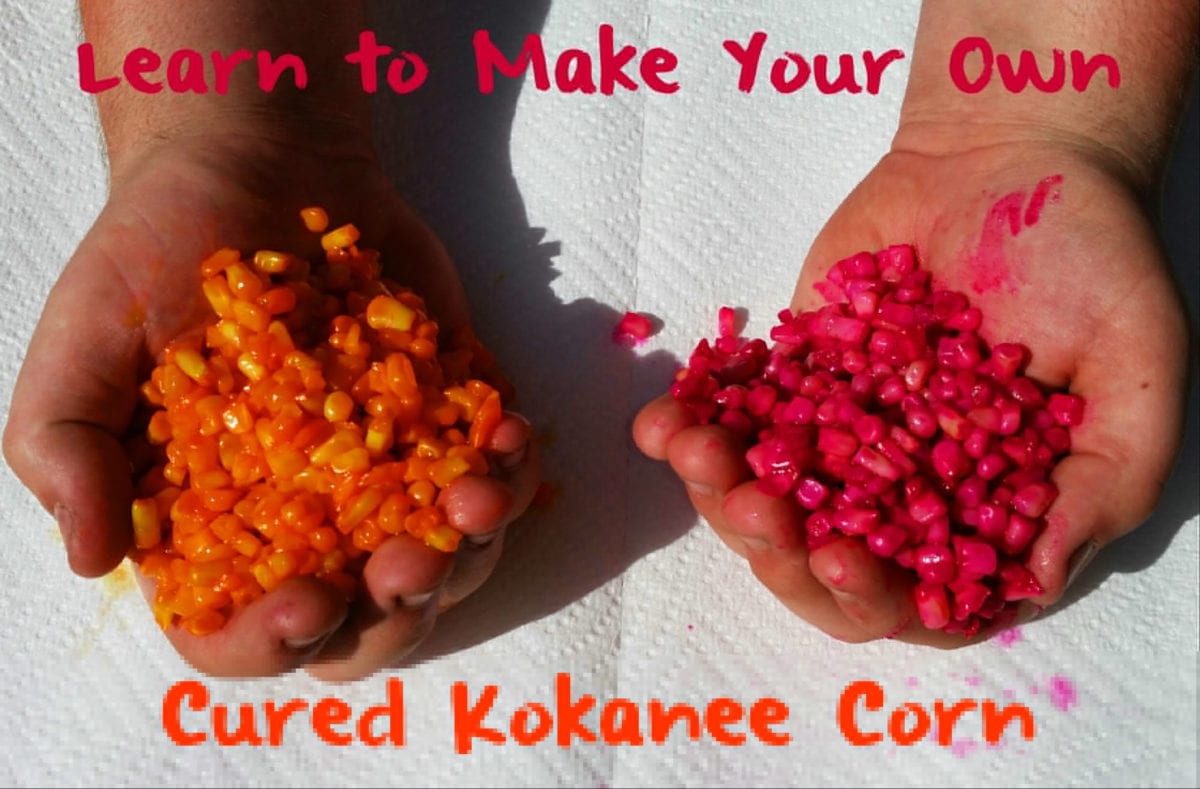Learn to Make Your Own Cured Kokanee Corn Pautzke Bait Co