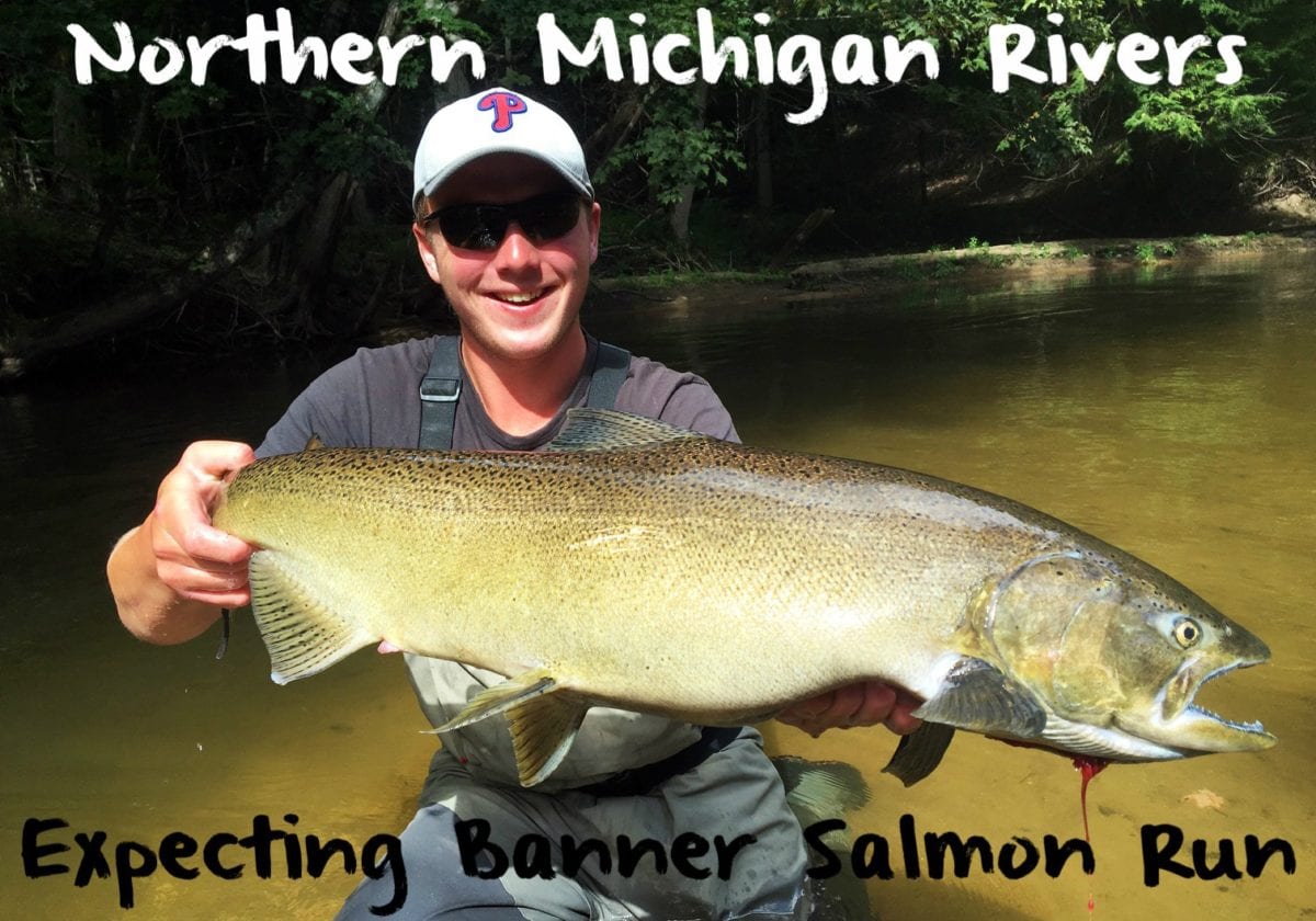 Northern Michigan Rivers Expecting Banner Salmon Run Pautzke Bait Co
