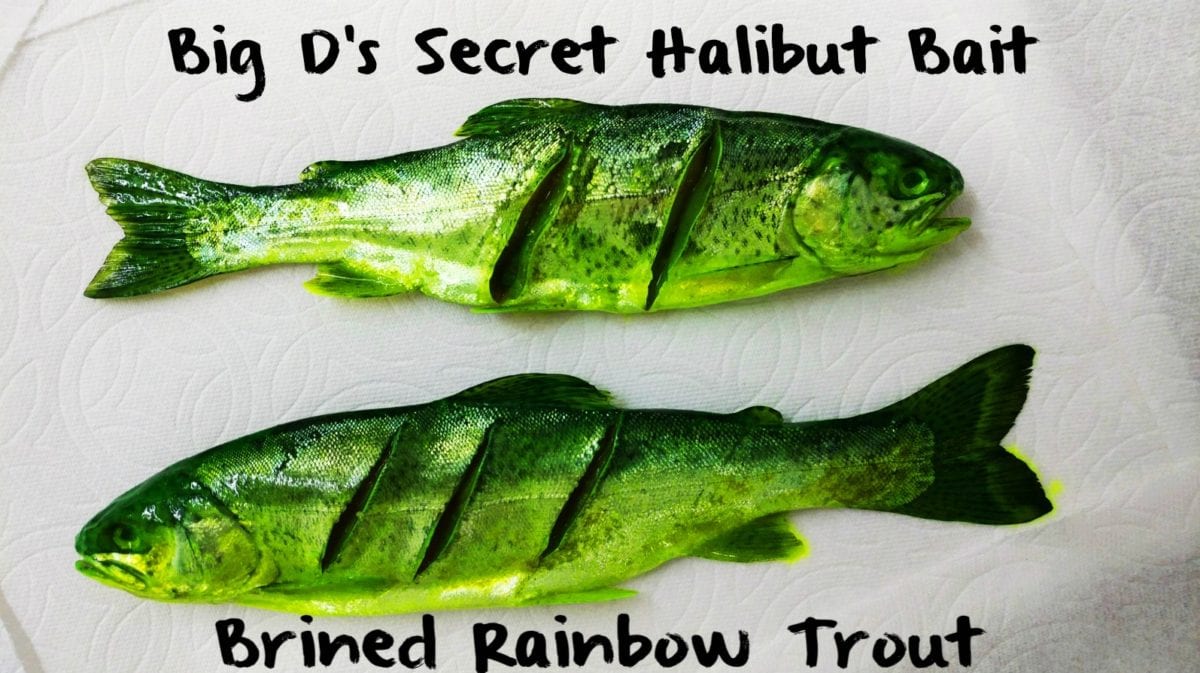 Big D’s Secret Halibut Bait Brined Rainbow Trout Pautzke Bait Co