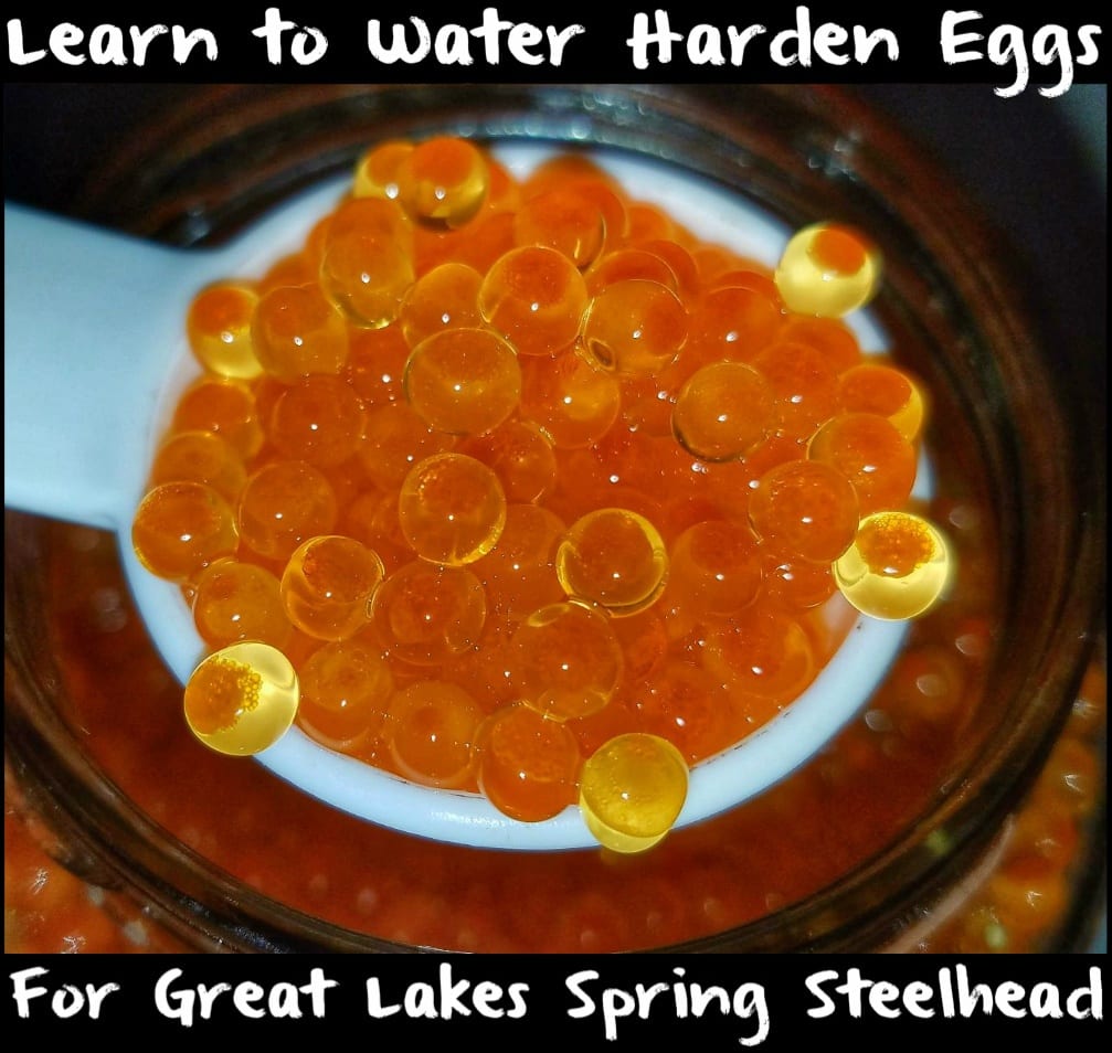 Learn To Float Fish Steelhead Spawn For Great Lakes Spring Steelhead