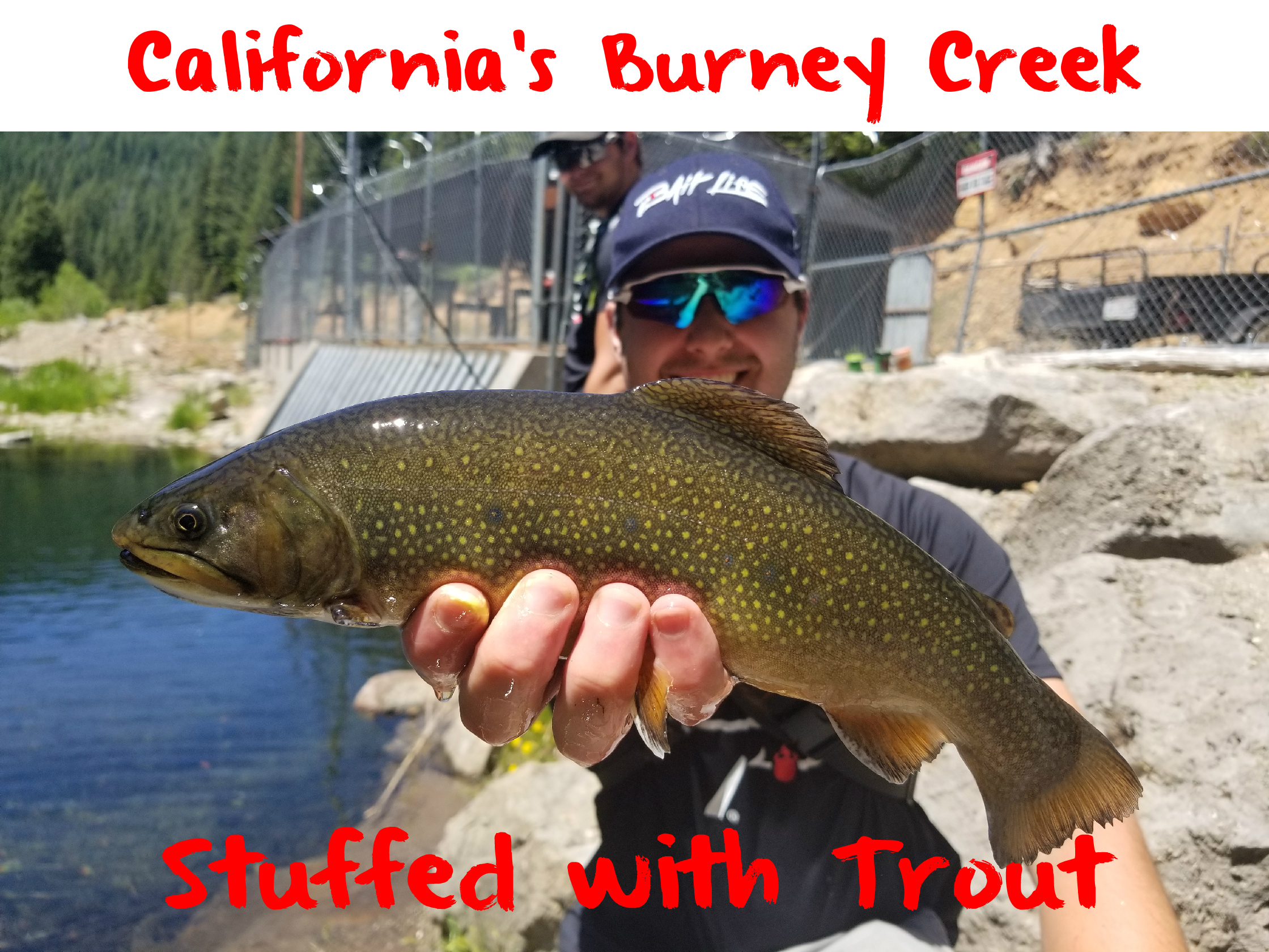 Learn To Fish Brined & Colored Minnows For Trout & Steelhead Pautzke
