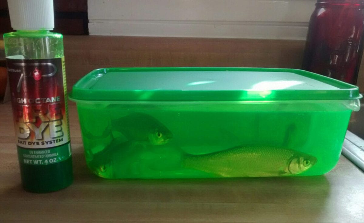 Greatlakespikebait1