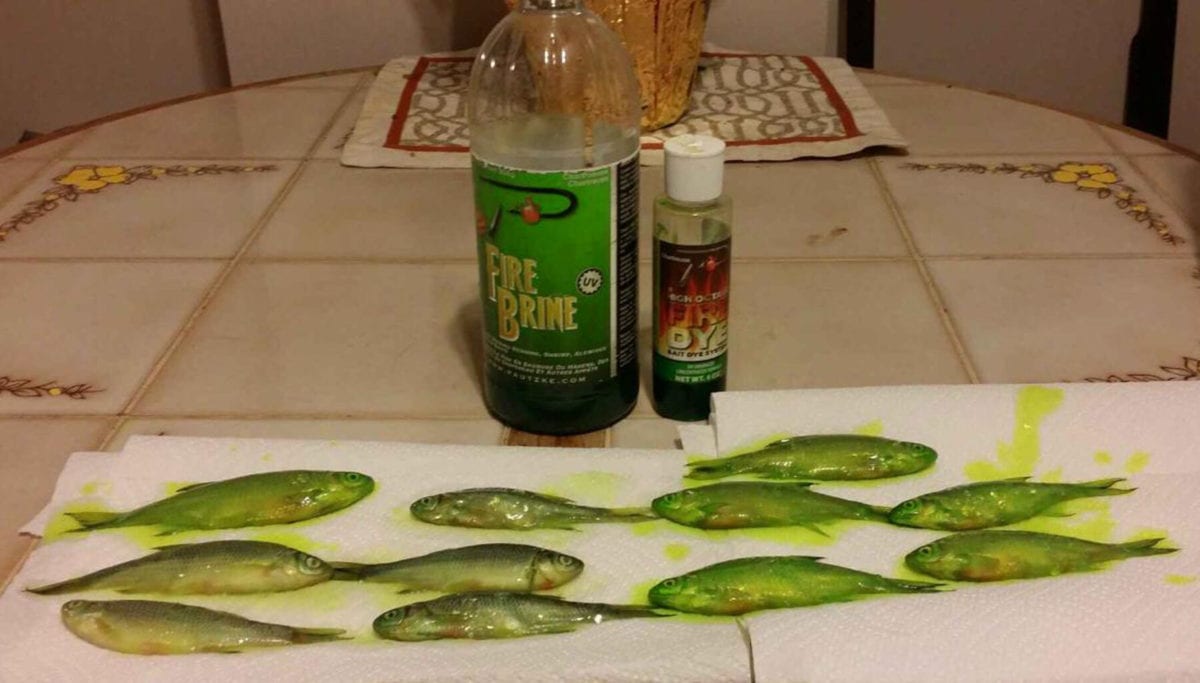 Greatlakespikebait5