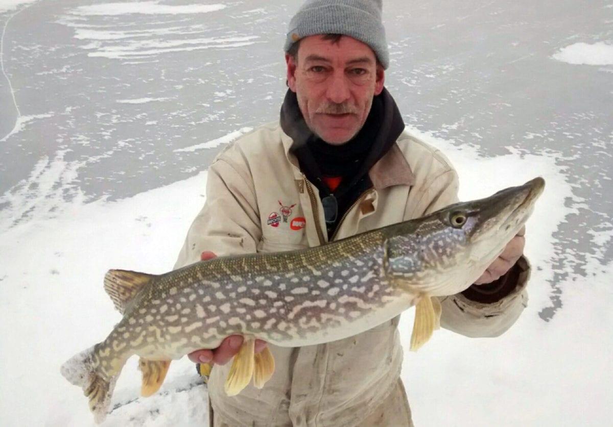 Greatlakespikebait6