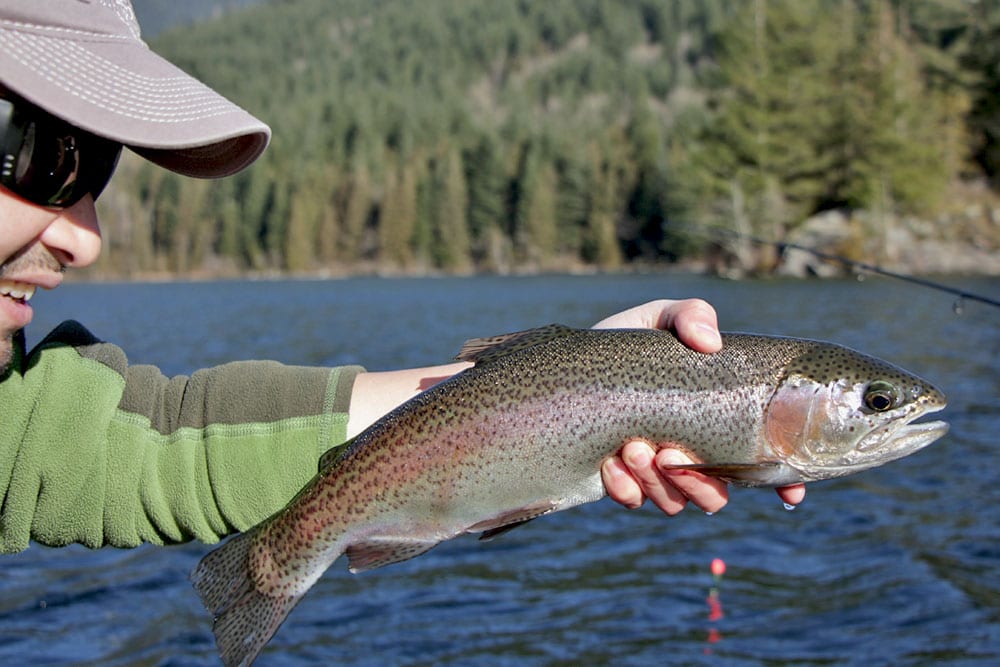 Lower British Columbia Spring Trout Fishing Opportunities