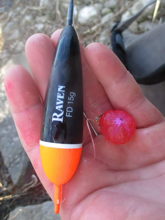 Learn To Float Fish Steelhead Spawn For Great Lakes Spring