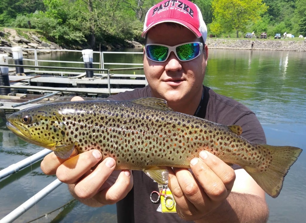 Youghiogheny River Trout Showing In Summer Heat Pautzke Bait Co