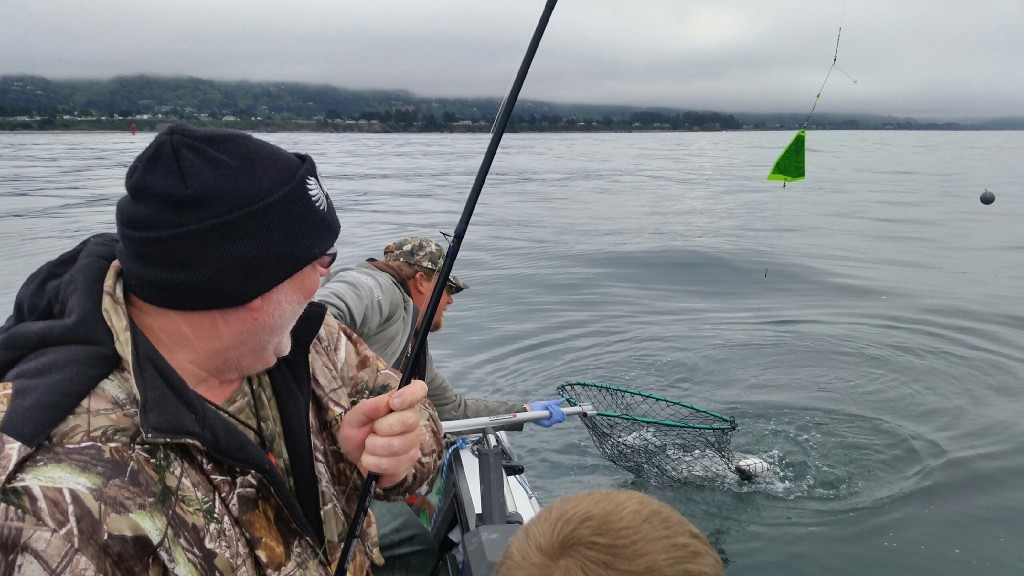 Four Hot Bait Trolling Rigs For Ocean Salmon Fishing Pautzke Bait Co