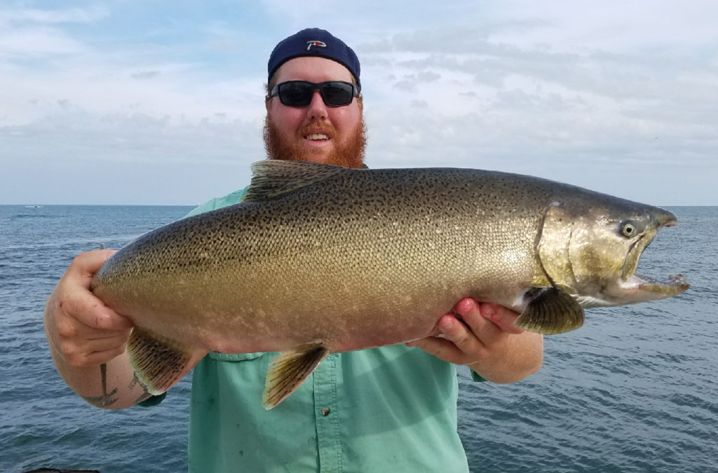 Wisconsin Salmon Staging on the Lakefront - Pautzke Bait Co