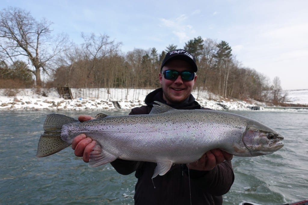 Michigan's Manistee River Producing Winter Steelhead - Pautzke Bait Co