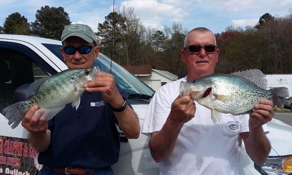 Buggs Island Producing Huge Crappie - Pautzke Bait Co