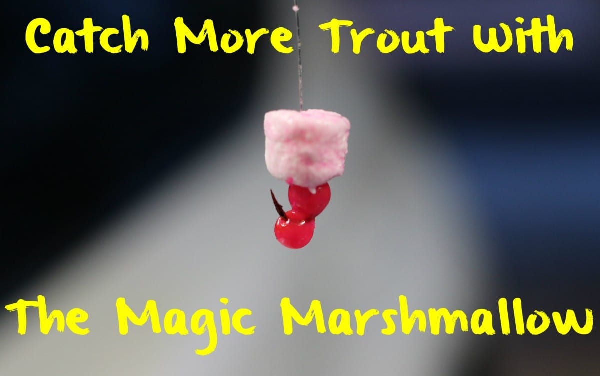 Catch More Trout With the Magic Marshmallow Pautzke Bait Co