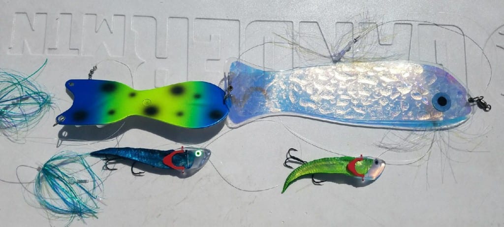 Shop Soft Squid Fishing Trolling Lure with great discounts and prices  online - Feb 2024