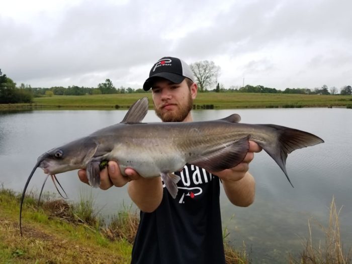 Alabama Pond Catfish Biting in Summer Heat Pautzke Bait Co