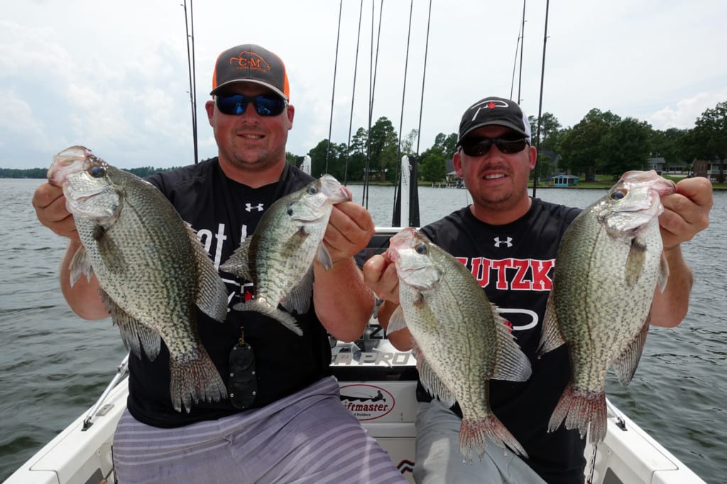 Santee Cooper Crappie Still Showing - Pautzke Bait Co