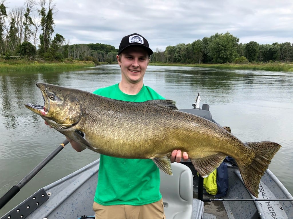 Michigan Salmon Run Kicking into High Gear Pautzke Bait Co