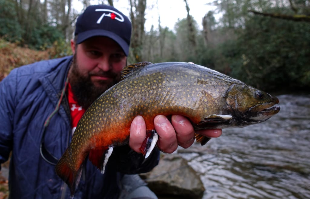 South Carolina Stuffed with Big Brook Trout - Pautzke Bait Co