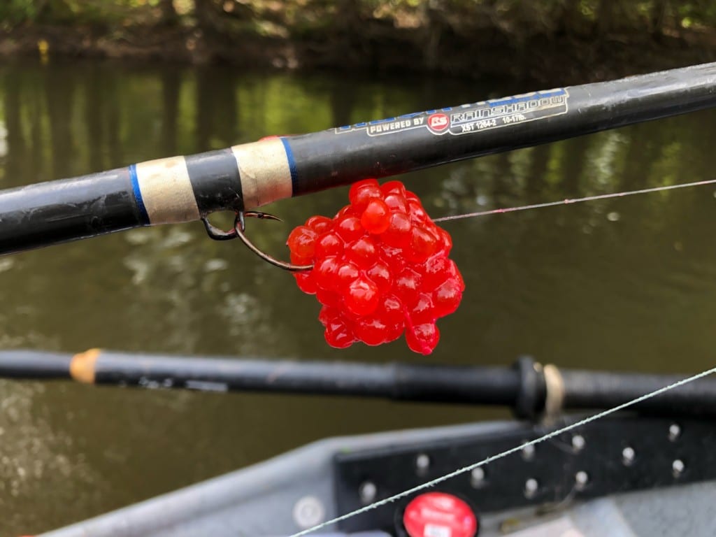 Try This Great Lakes Cure & Catch More Salmon - Pautzke Bait Co