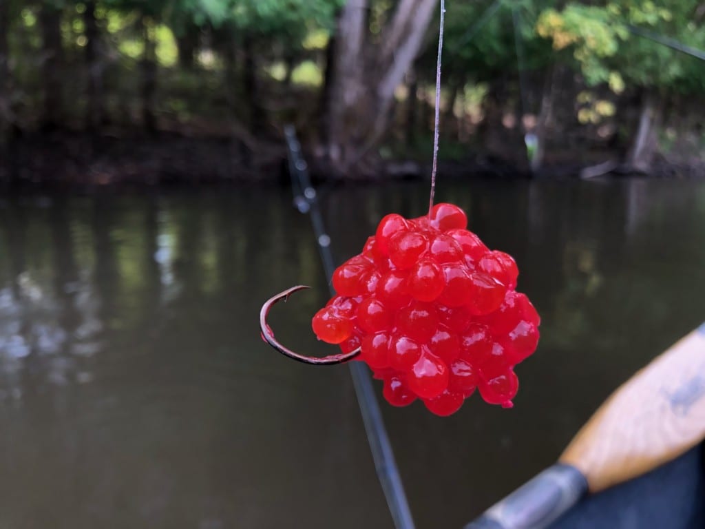 Try This Great Lakes Cure & Catch More Salmon - Pautzke Bait Co