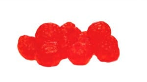 Trout Eggs in Bait Sack